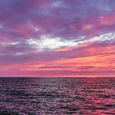 Red Sea